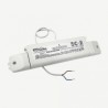 Mode Cold Cathode Convertor (2 x 1.0kV, 90mA, Dimmable, 230 Volt Input) 3C-210-090-T-230-RD