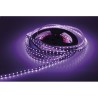 LED Strip 20m per reel 24V DC 288W 1200x SMD 5050 LEDs Silicone FlexiRibbon Strips 14.4 W/m