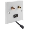 Single Gang RCA HDMI wall plate