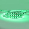 Akwil Grade A 5m RGB 120 LED per m 24V High Output LED Strip Tape 5m Reel 11W per m