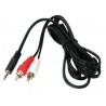 AVID IL - 1.2m AVID Input Lead - 2x RCA to Stereo 3.5mm Jack