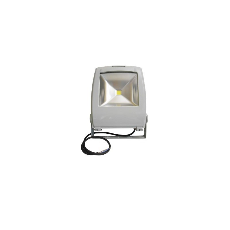 50W LED Outdoor Flood Light Flood IP65 PF 0.9 100-265V 1pcs x 50W High Power LEDs up to 3800lm