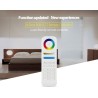 Smart Wireless 8-Zone RGB + CCT Remote Controller