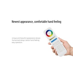 Smart Wireless 8-Zone RGB + CCT Remote Controller