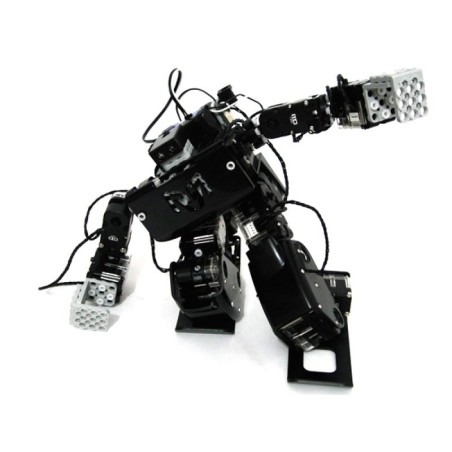 RoboBuilder RQ-HUNO Robotic 16 DOF Humanoid Kit (Assembled)