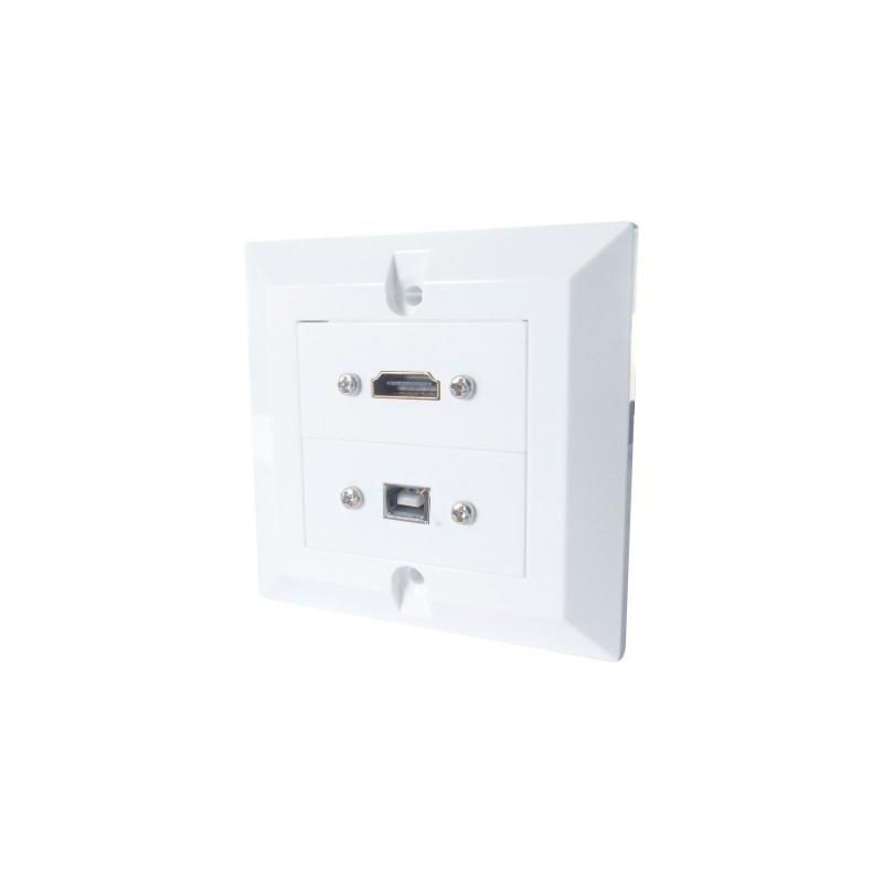 HDMI and USB Single Gang Wall Plate Connectors and Back Box