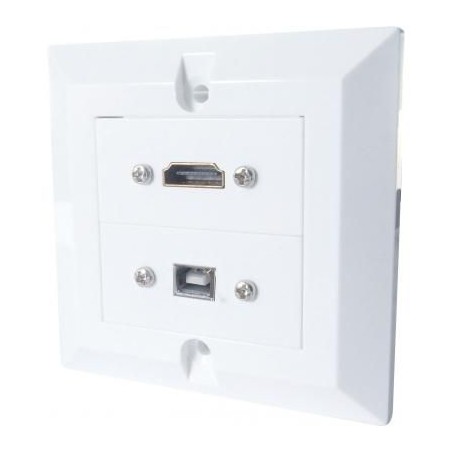 HDMI and USB Single Gang Wall Plate Connectors and Back Box