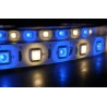 Akwil Super Bright LED Strip RGB and Warm White 24V 5m per reel 180x RGB 180x WW 5050 SMD LEDs