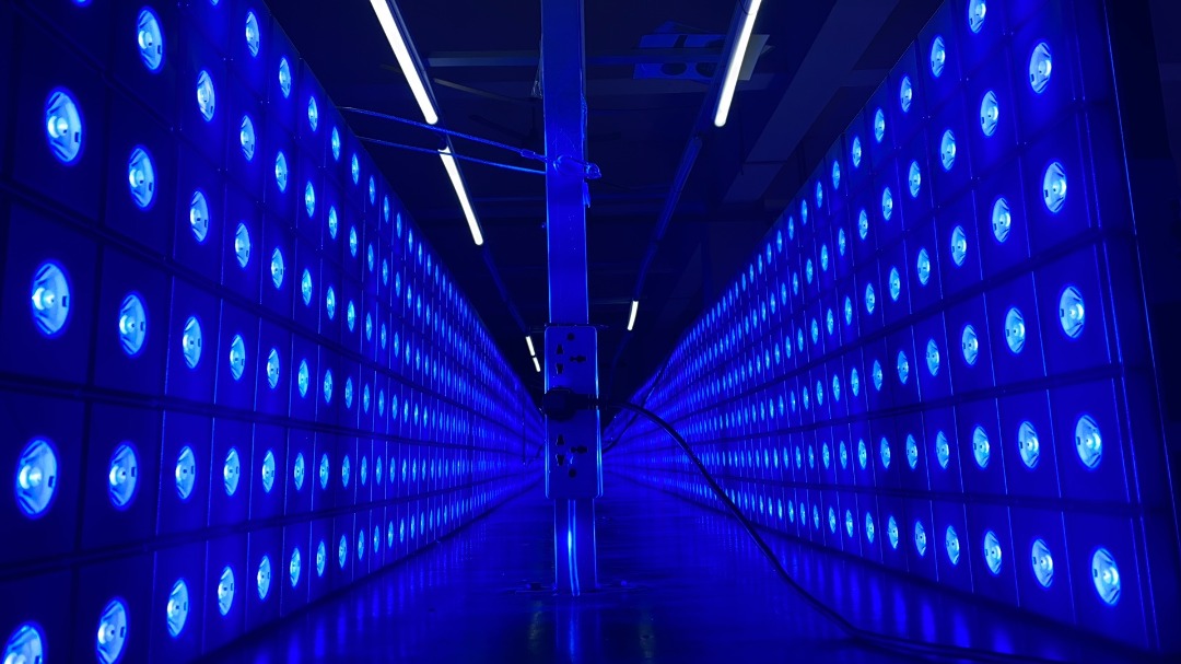 LED Pixel Beam RGBWW 4 Degree Panel System LED Design